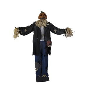 Costumes For All Occasions Pe42025 Scarecrow Man Standing 60In