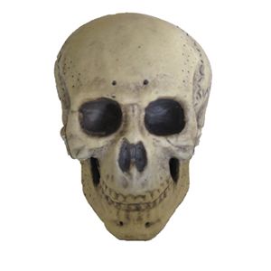 Costumes For All Occasions Pe42092 Skull Foam 9.5In