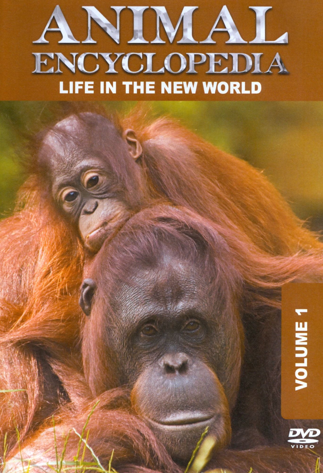 Animal Encyclopedia, Vol. 1: Life in the New World