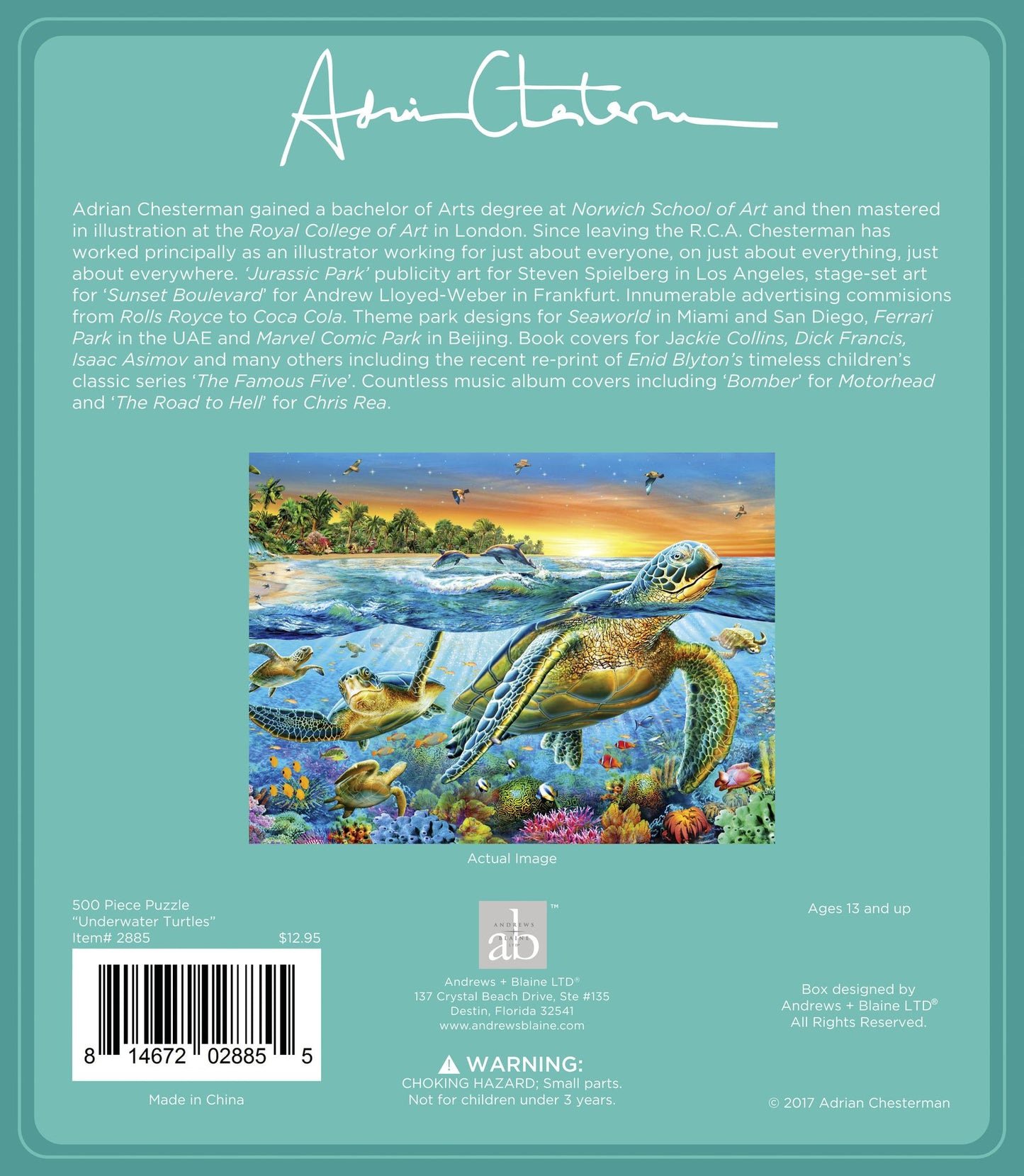 500 Piece Puzzle Underwater Turtles - Adrian Chesterman