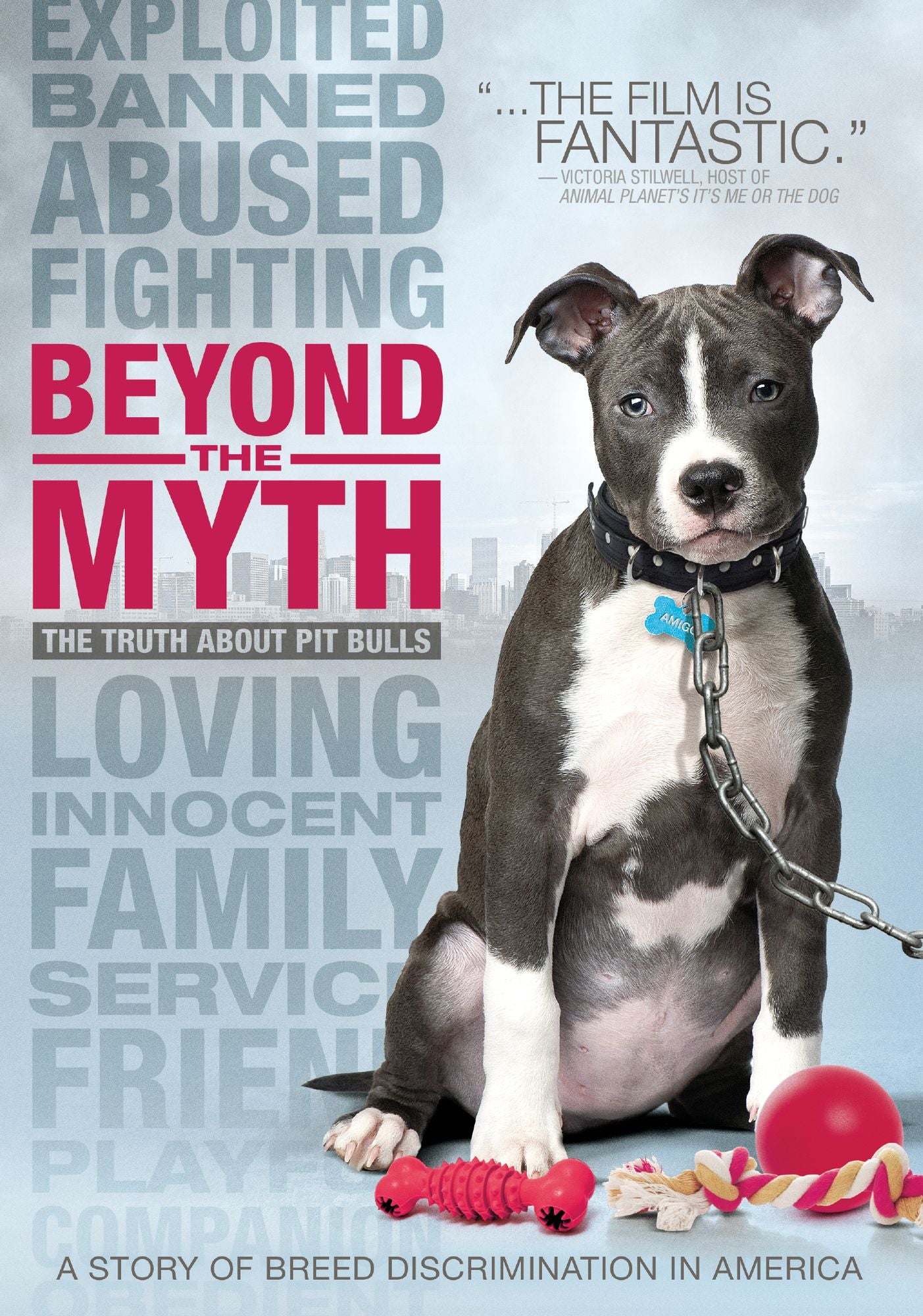 Beyond the Myth