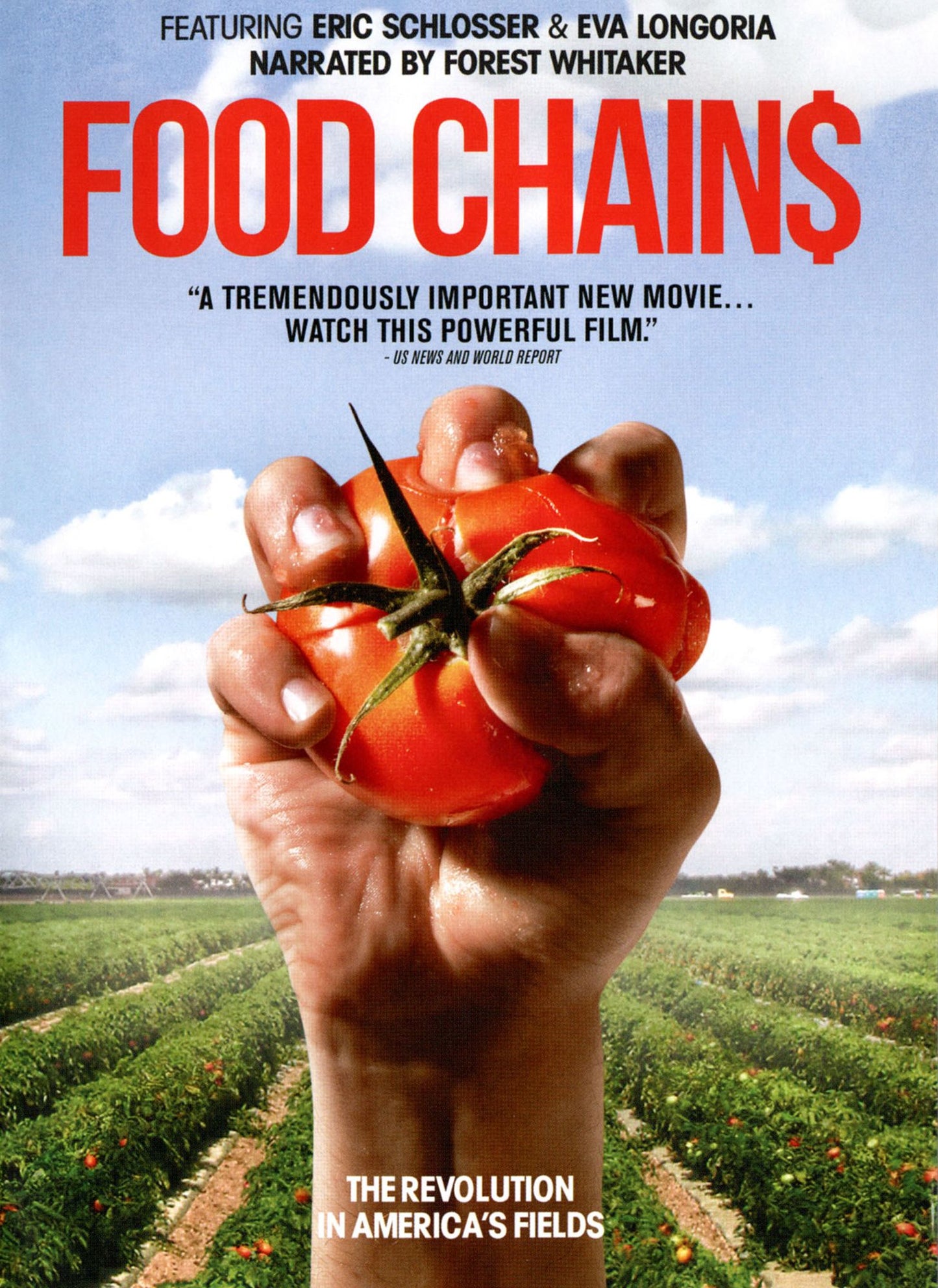 FOOD CHAINS / (ANAM)