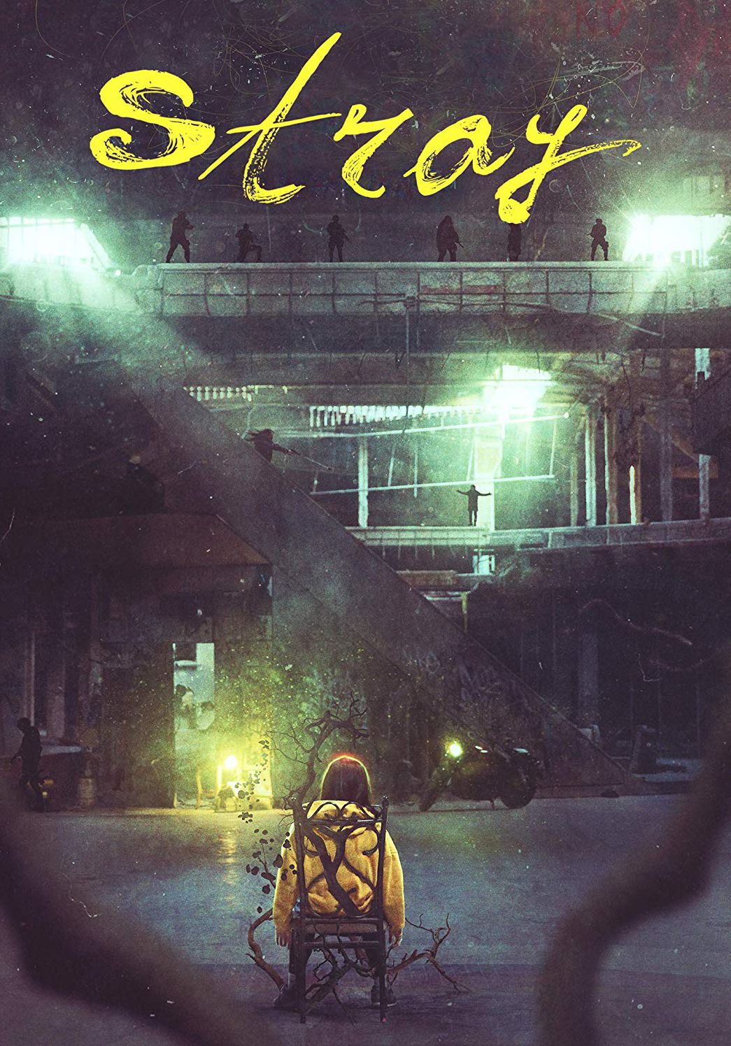 Stray