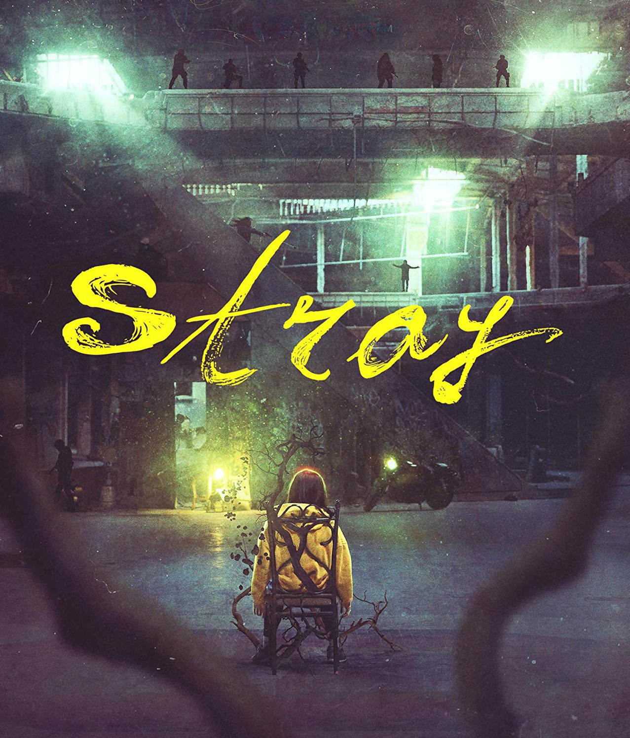 Stray