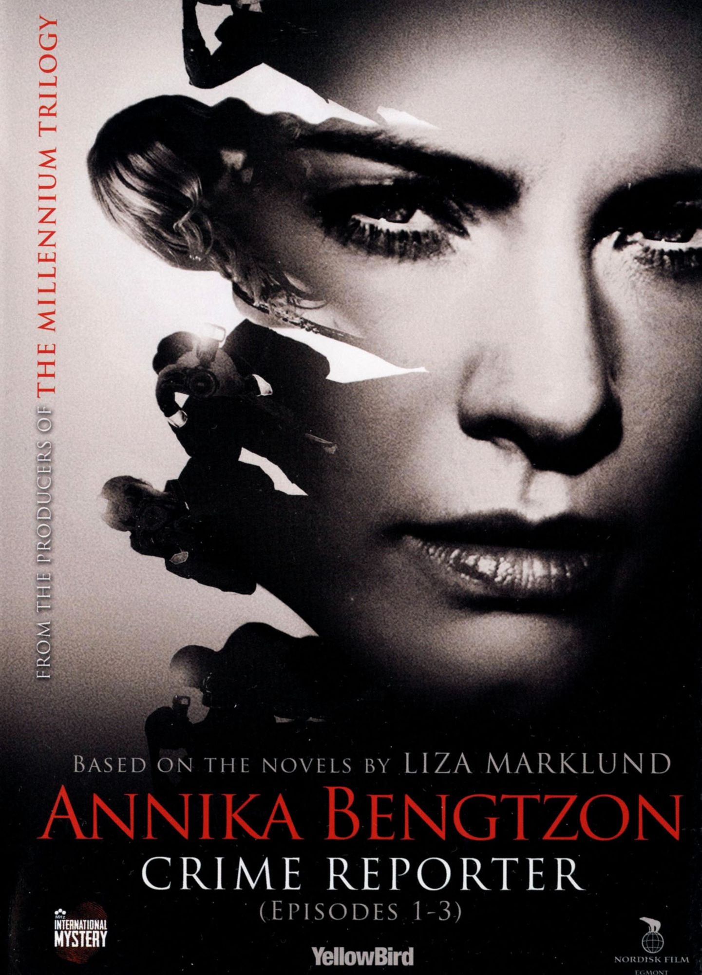 Annika Bengtzon Crime Reporter: Episodes 1-3