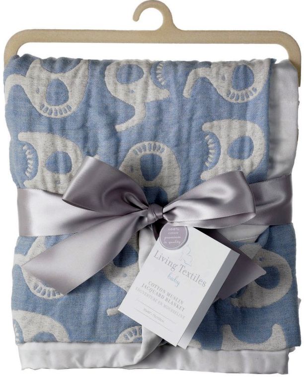 Blue Muslin Blanket