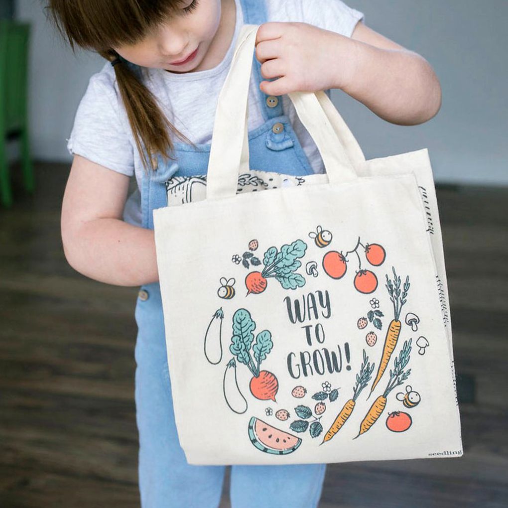 Farmer's Market Playtime Kit