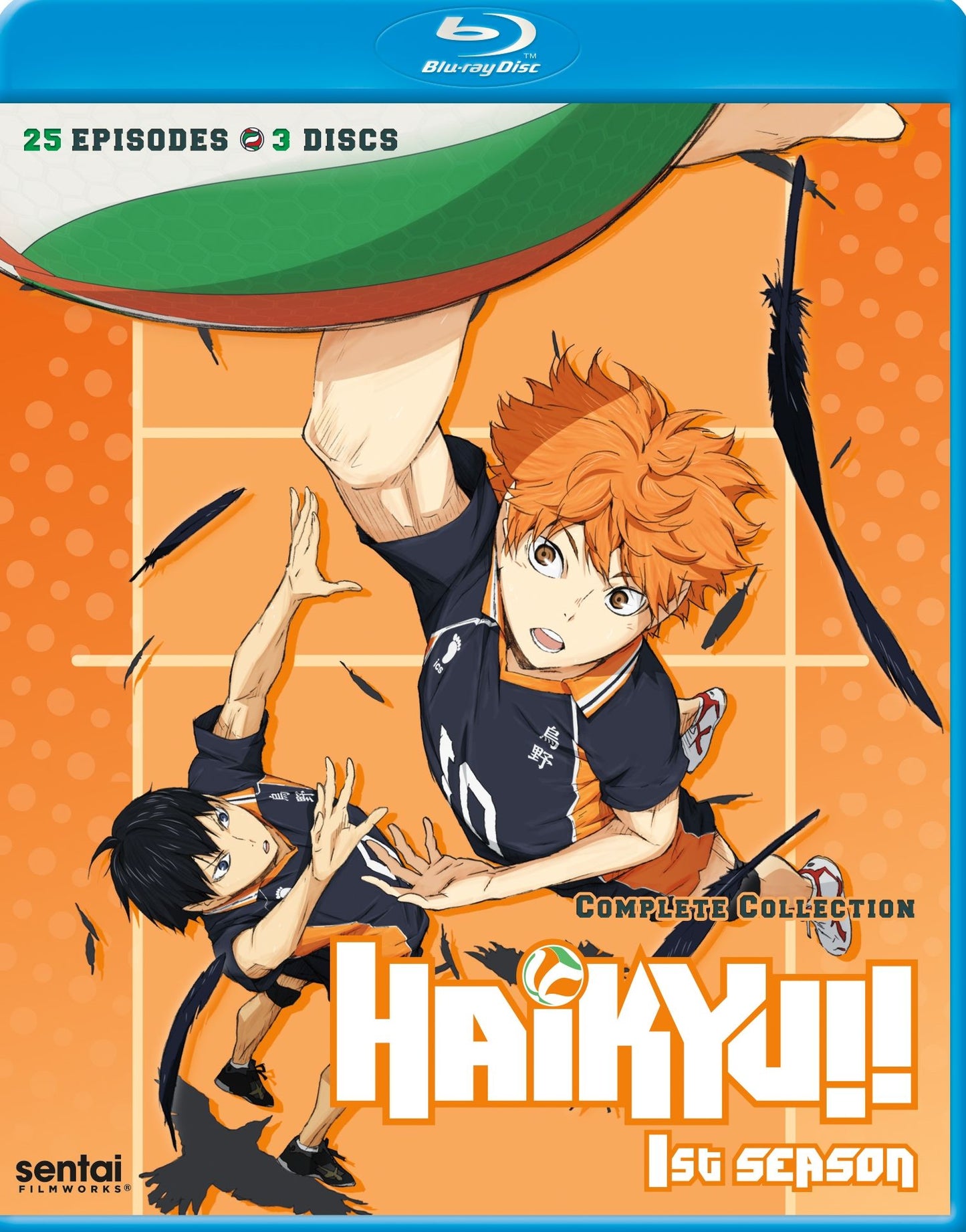 Haikyu: Season 1