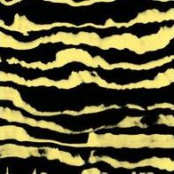 Restless Shapes
