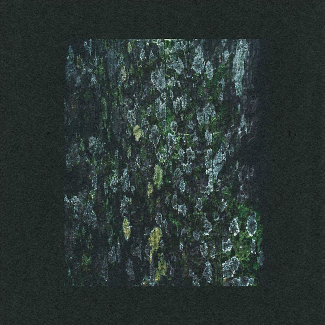 The Walker/kilter [Remixes]