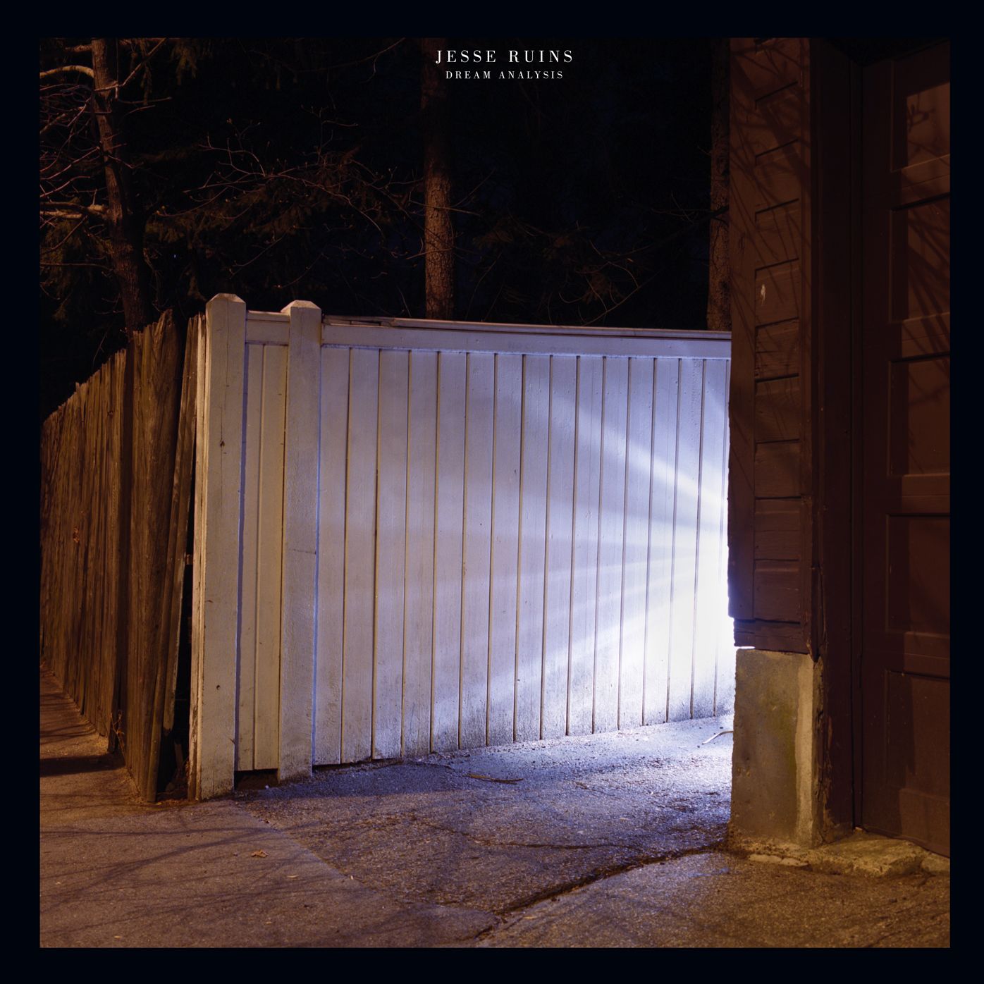 Dream Analysis