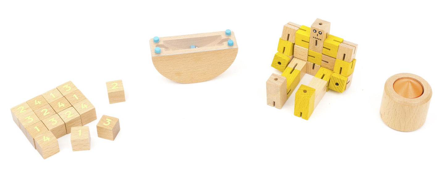 STEM Puzzle Set of 4