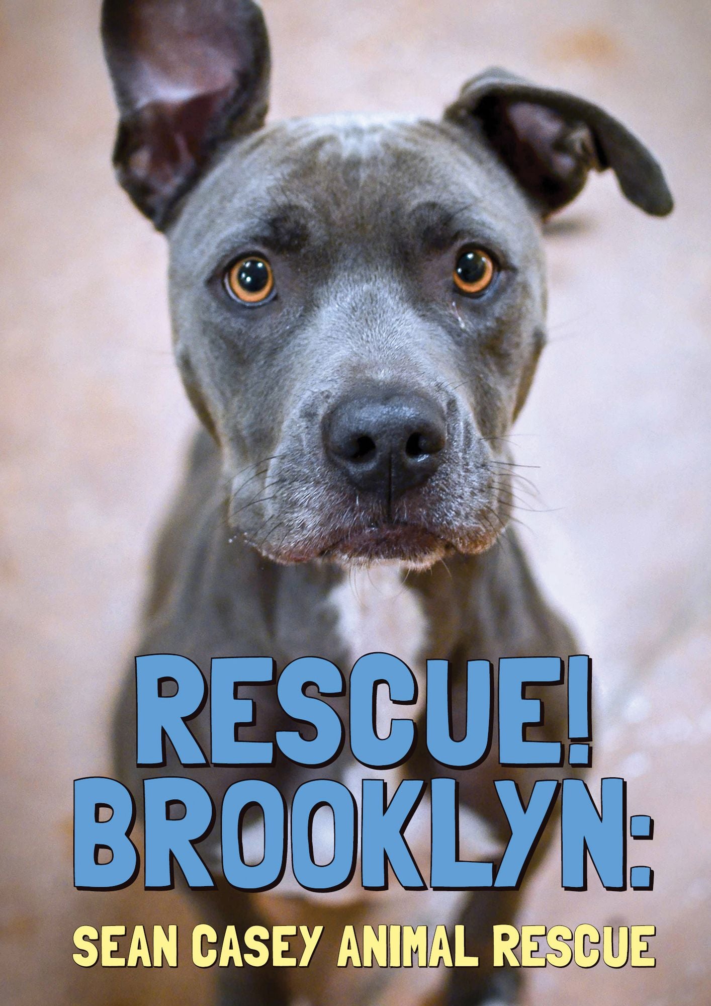 Rescue! Brooklyn