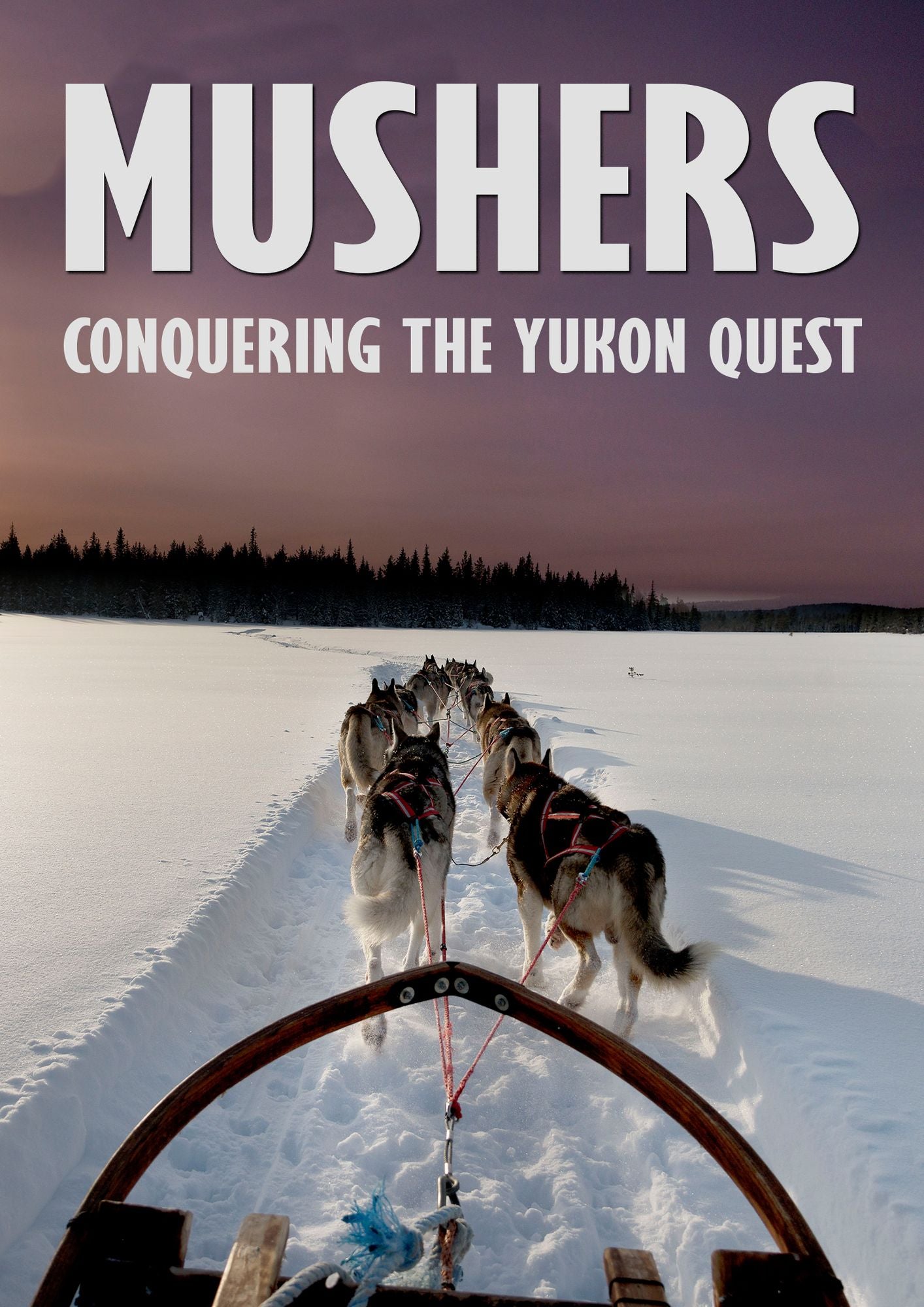 Mushers: Conquering The Yukon Quest