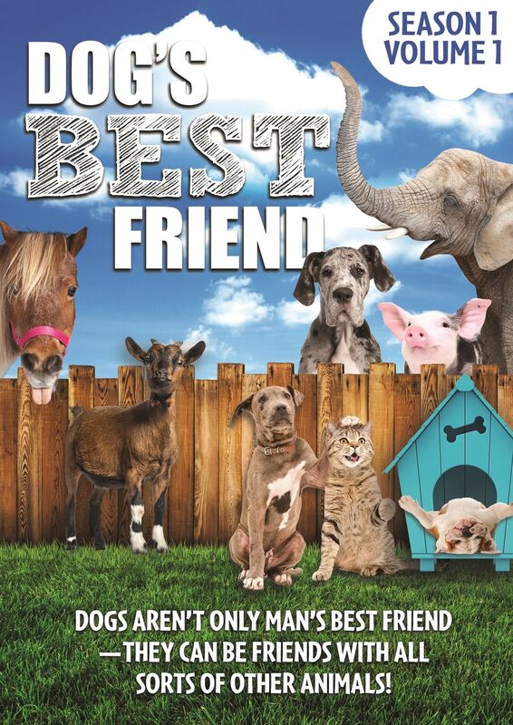 Dog's Best Friend: Season 1 Volume 1