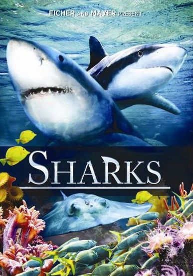 Sharks