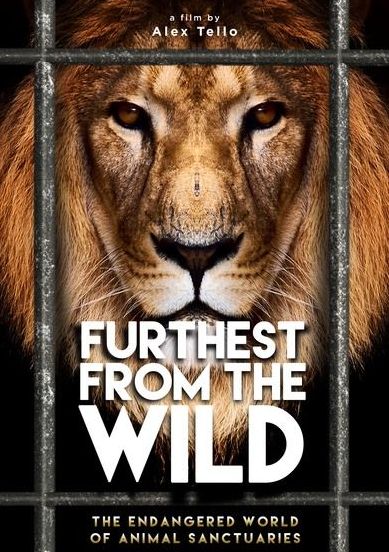 Furthest from the Wild