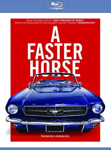 Faster Horse