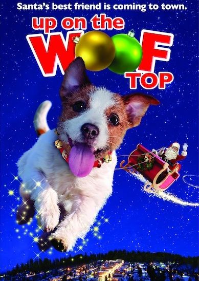 Up on the Wooftop