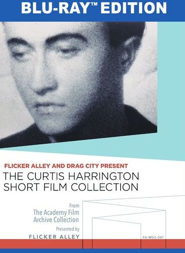 The Curtis Harrington Short Film Collection [Blu-ray]