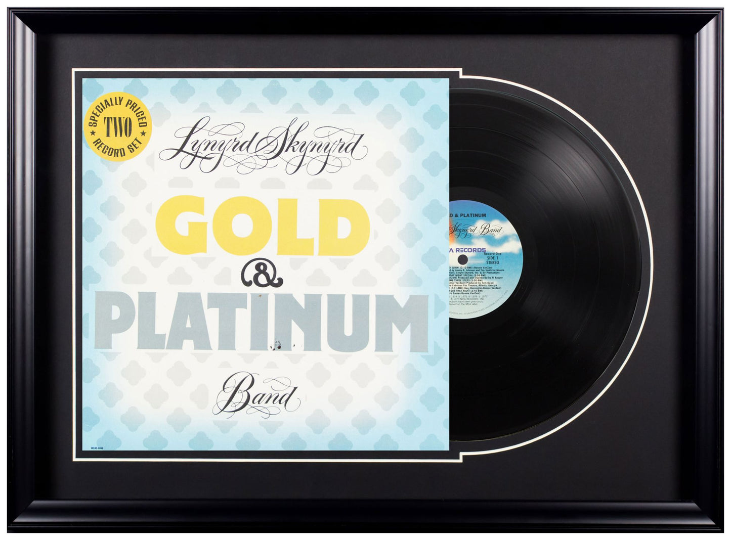 Deluxe Framed Album - Lynyrd Skynyrd Band-Gold & Platinum