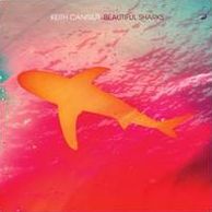 Beautiful Sharks