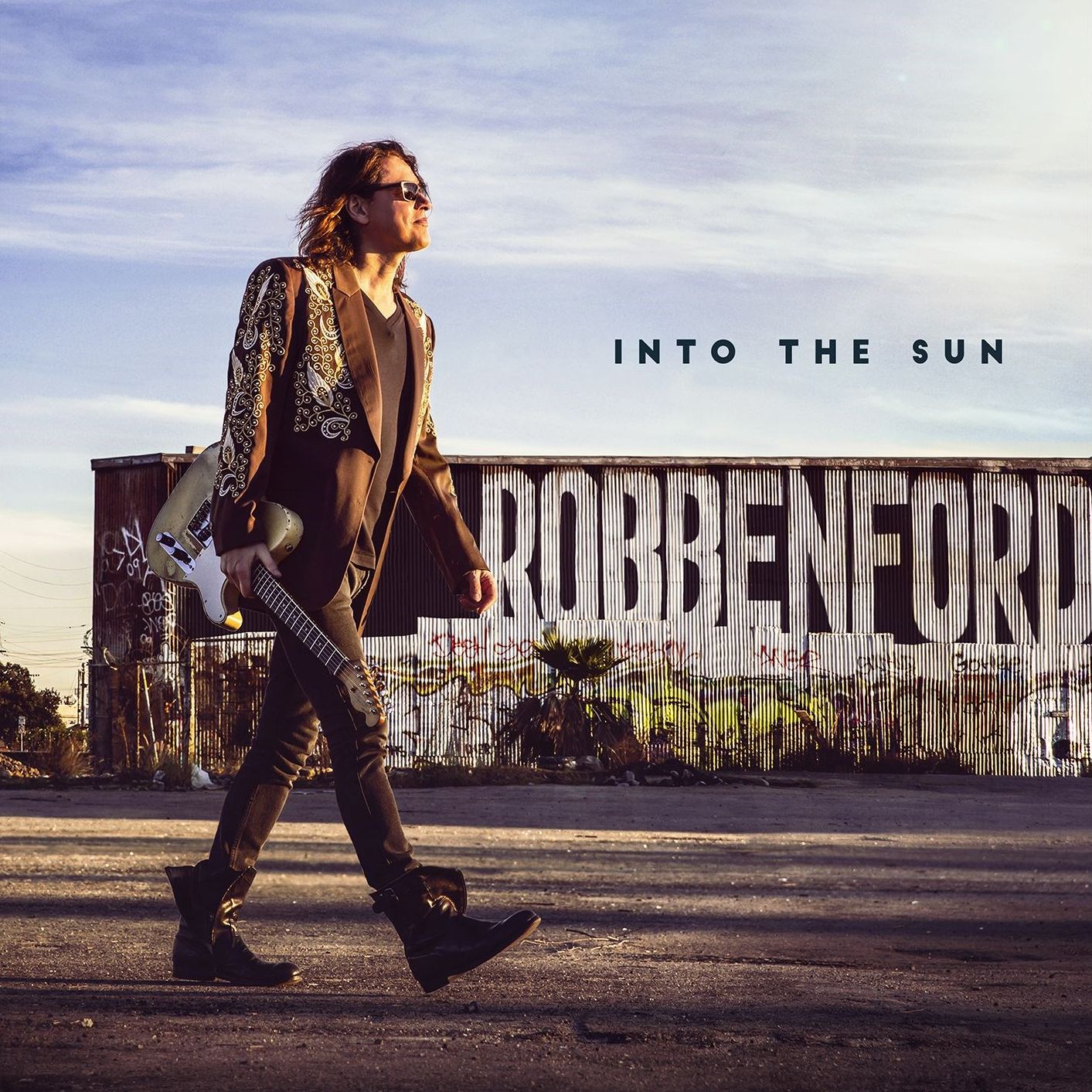 INTO THE SUN (DLCD) (OGV)