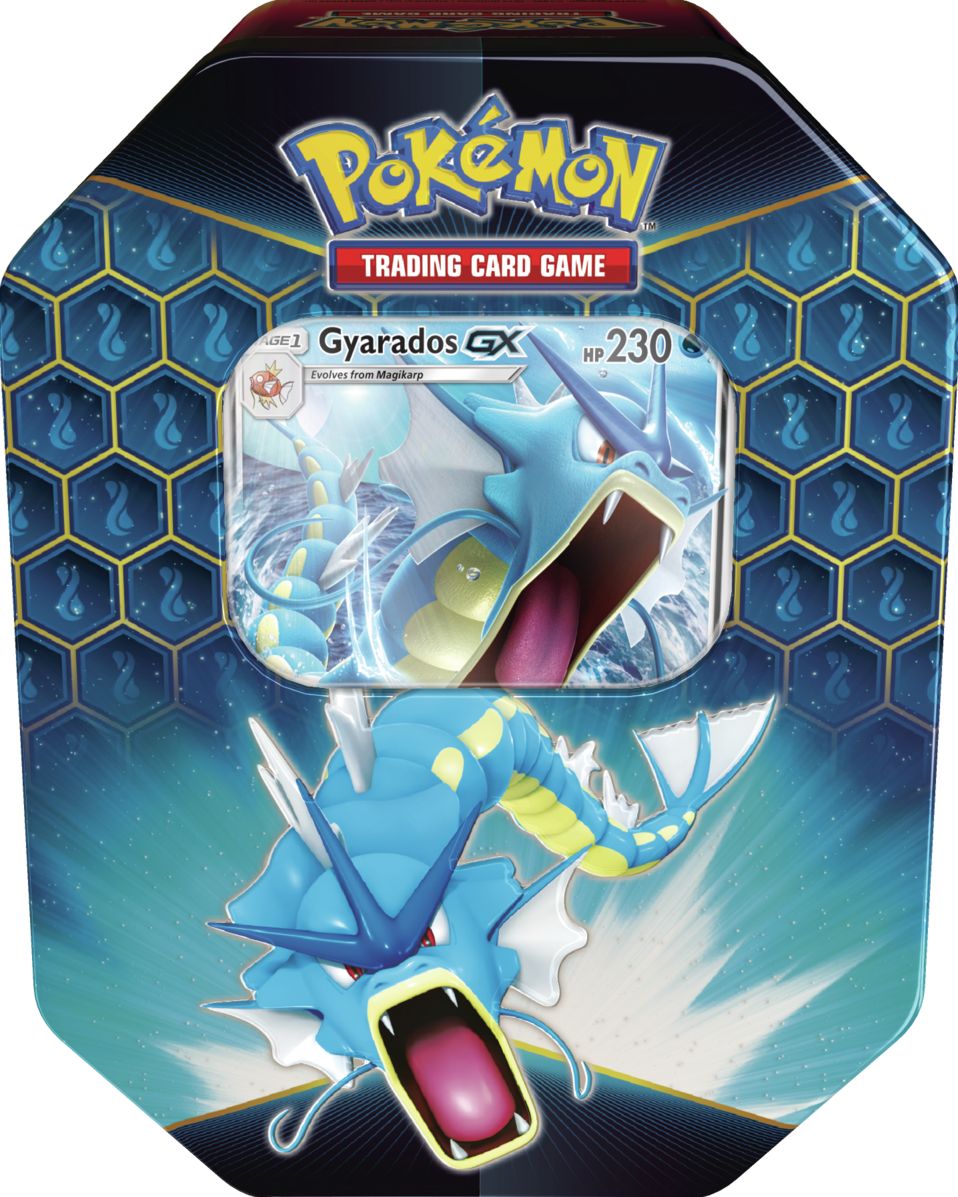 2019 POK HIDDEN FATES FALL 2019 TIN - 820650804816
