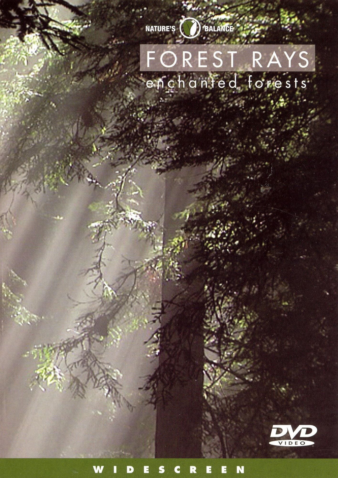 Forest Rays: Enchanted Forests