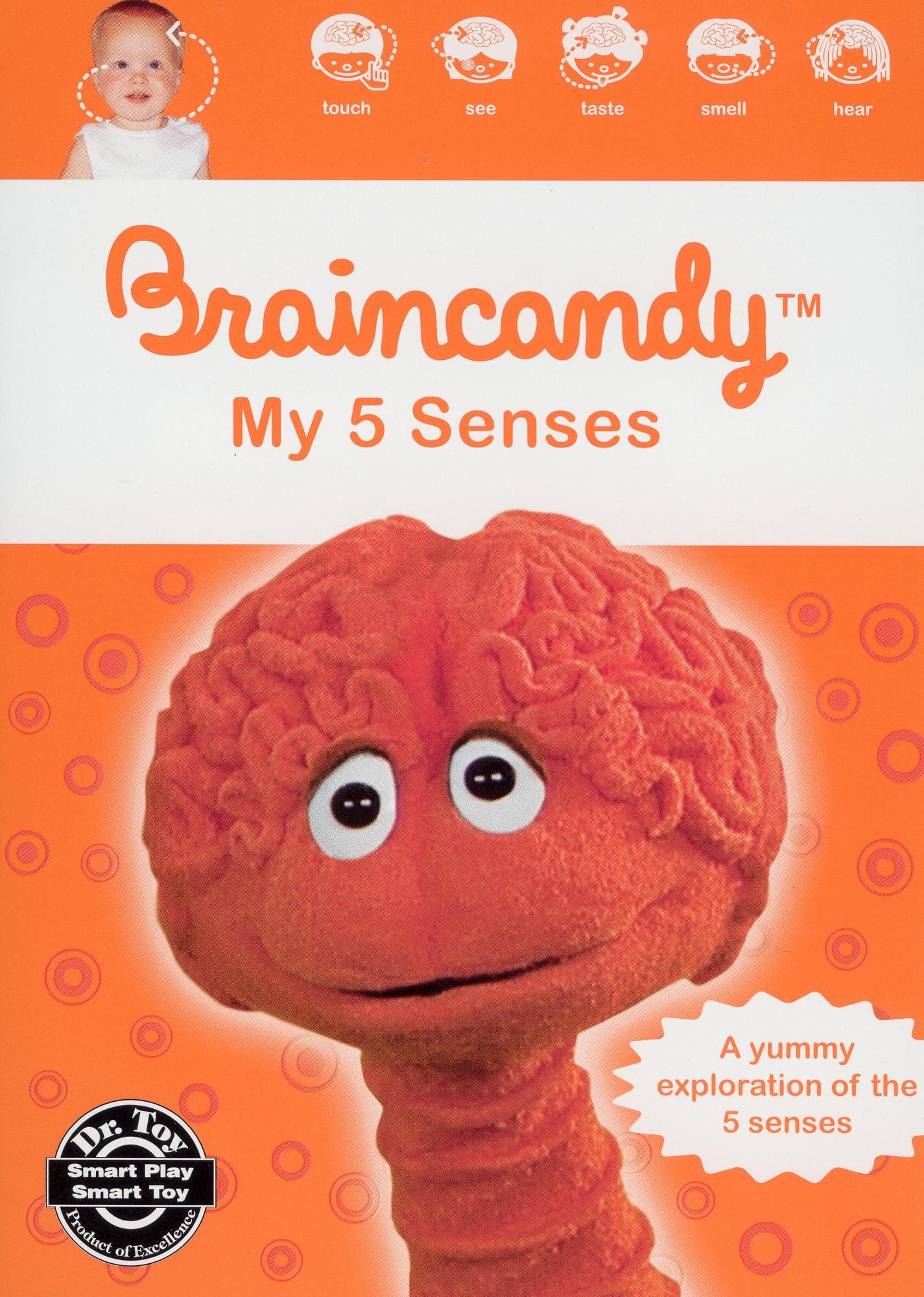 Braincandy: My Five Senses