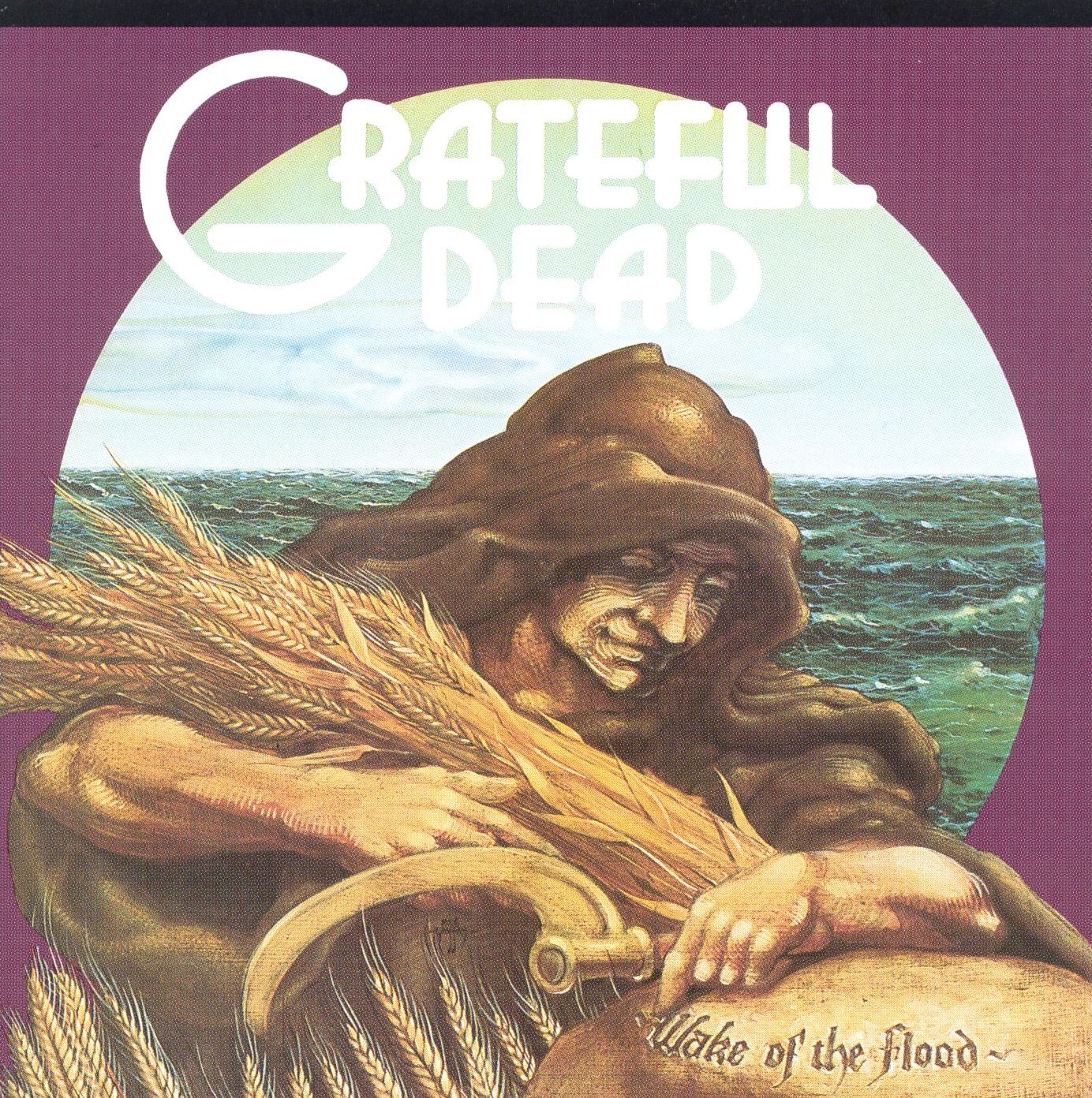 Wake of the Flood [180 Gram Vinyl] [Limited Edition]