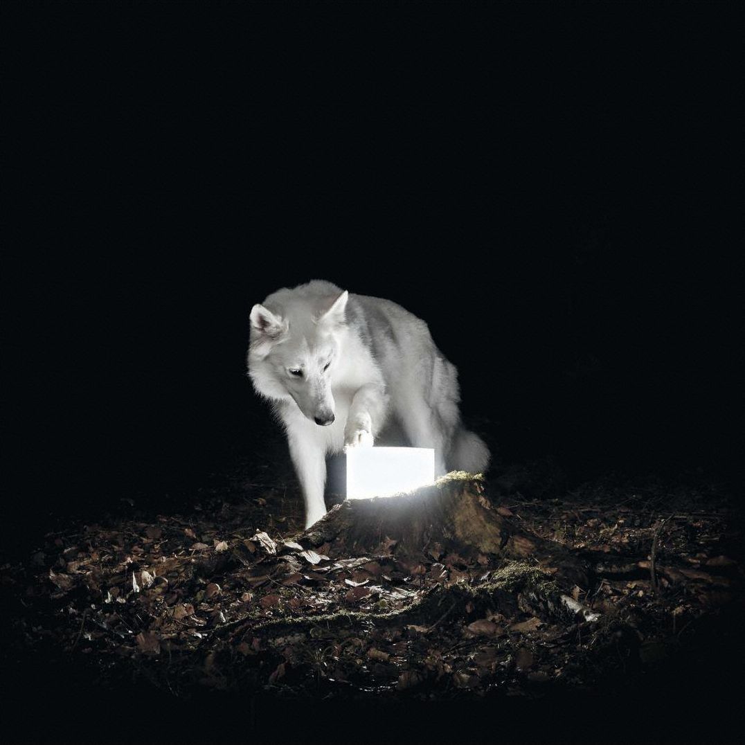 Surveillance [Lp]