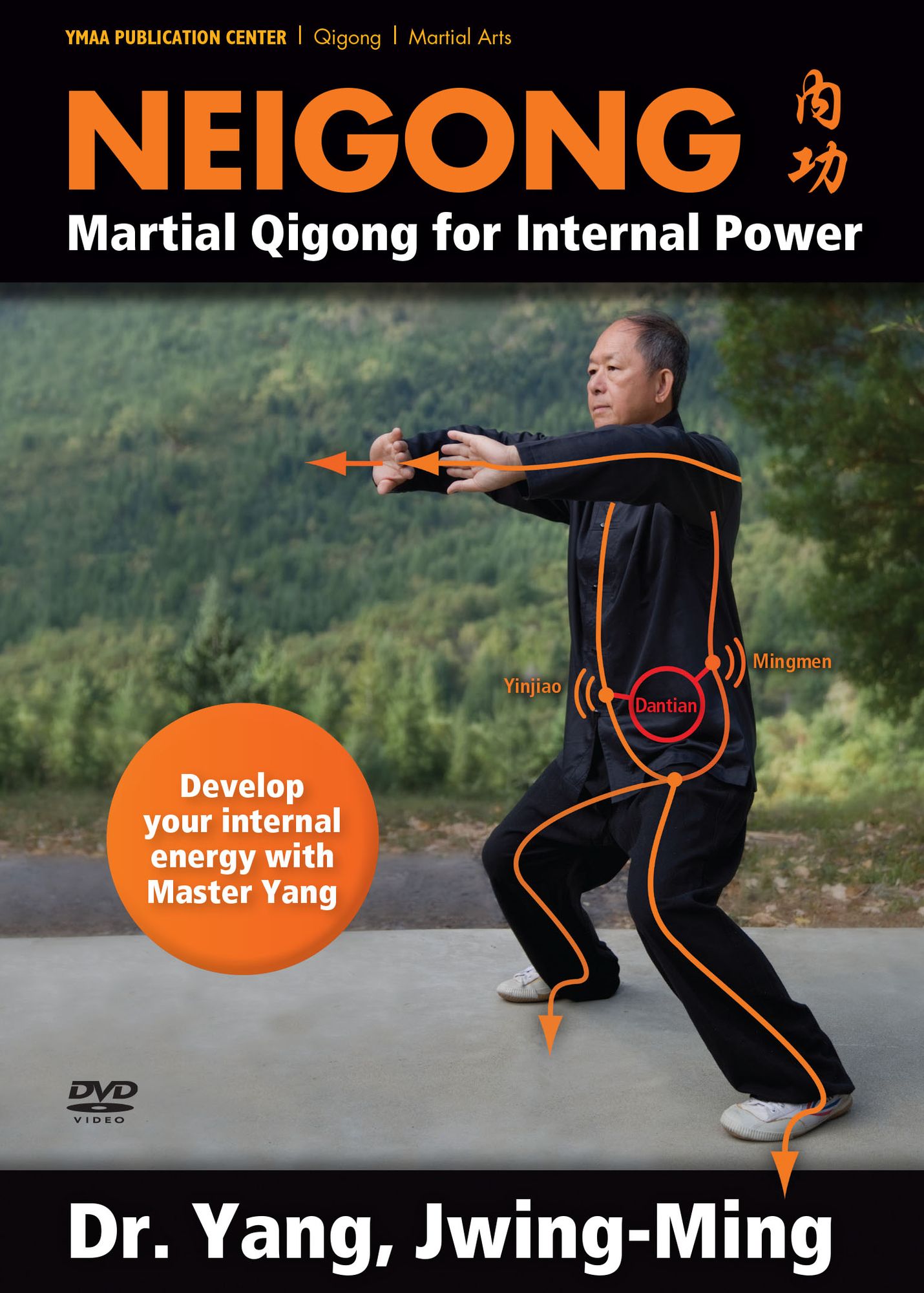 Neigong: Martial Qigong For Internal Power