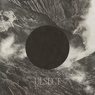 Ulsect