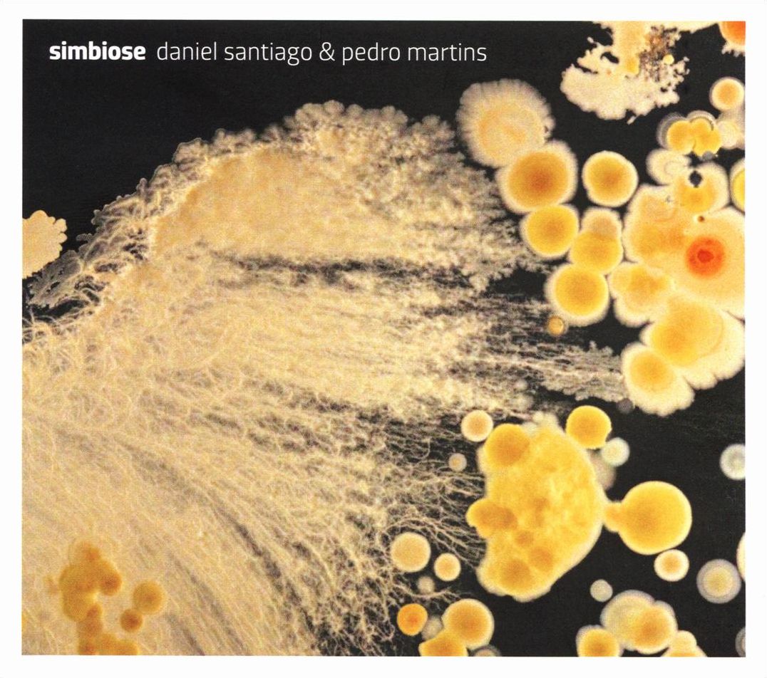 Simbiose