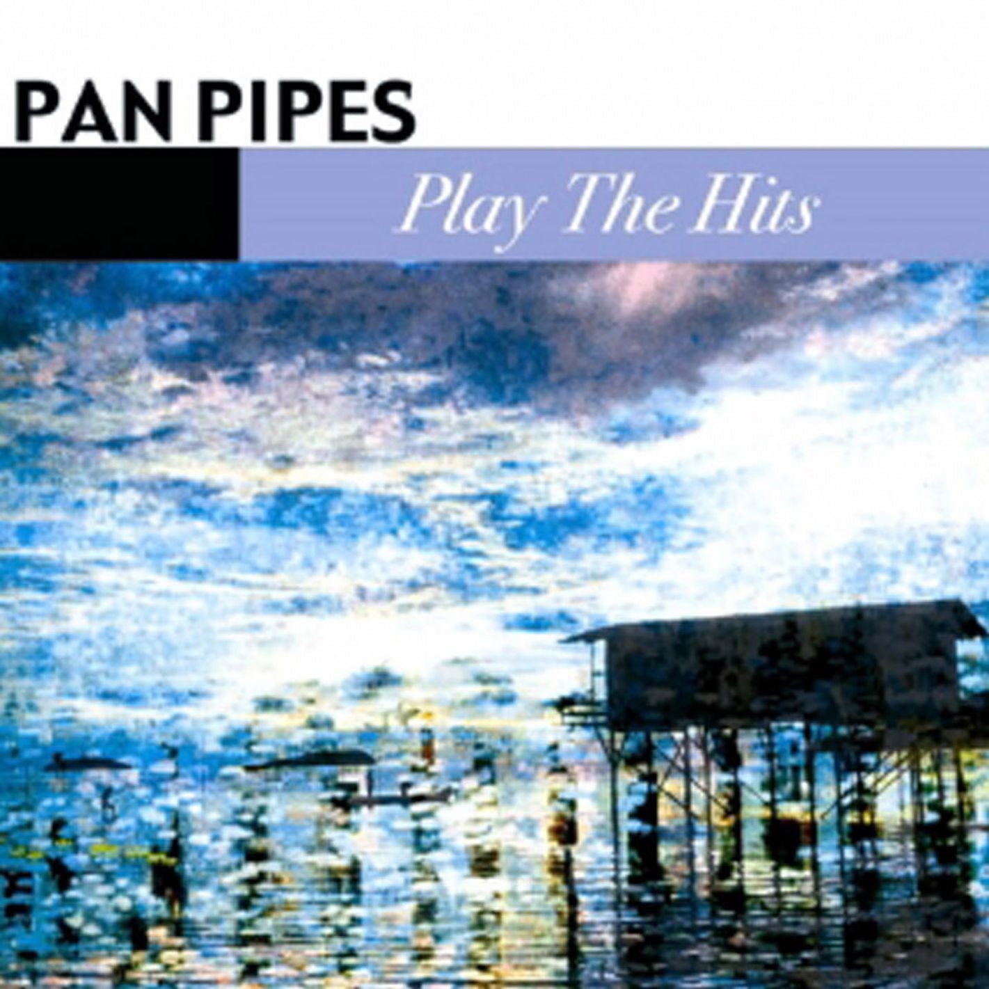 Nancy & Phil Tobias Play the Hits