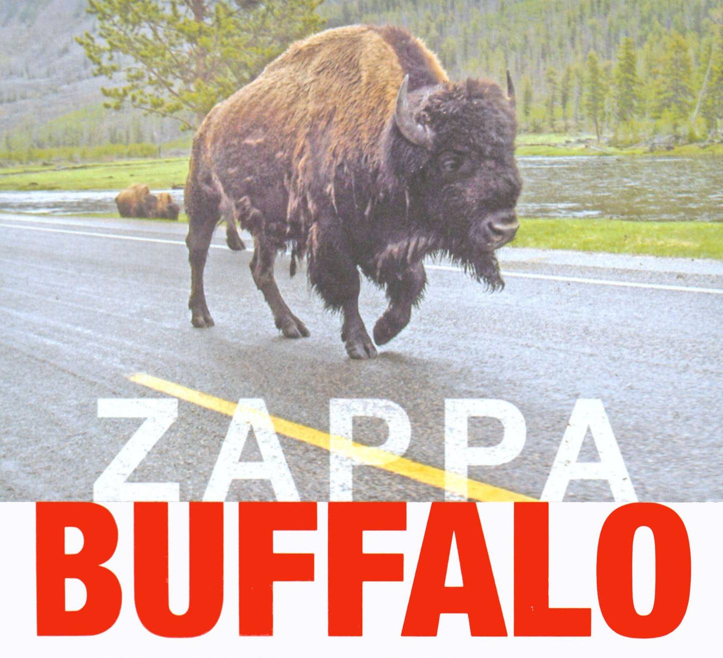 Buffalo