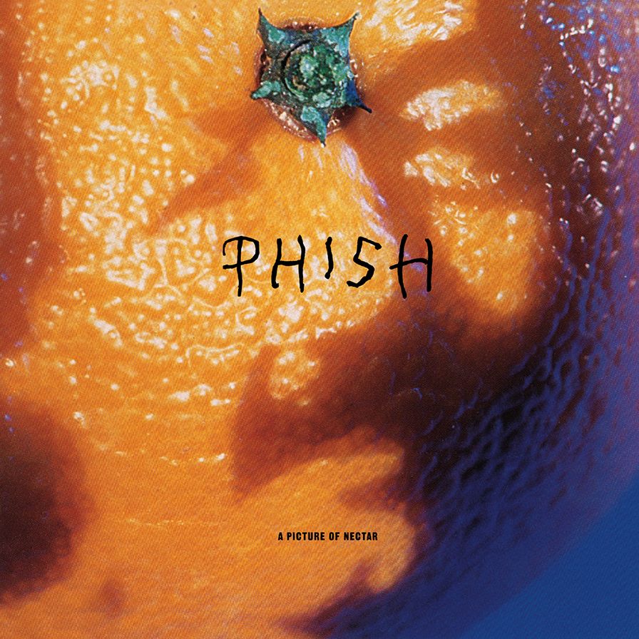 Picture Of Nectar [Deluxe Lp]
