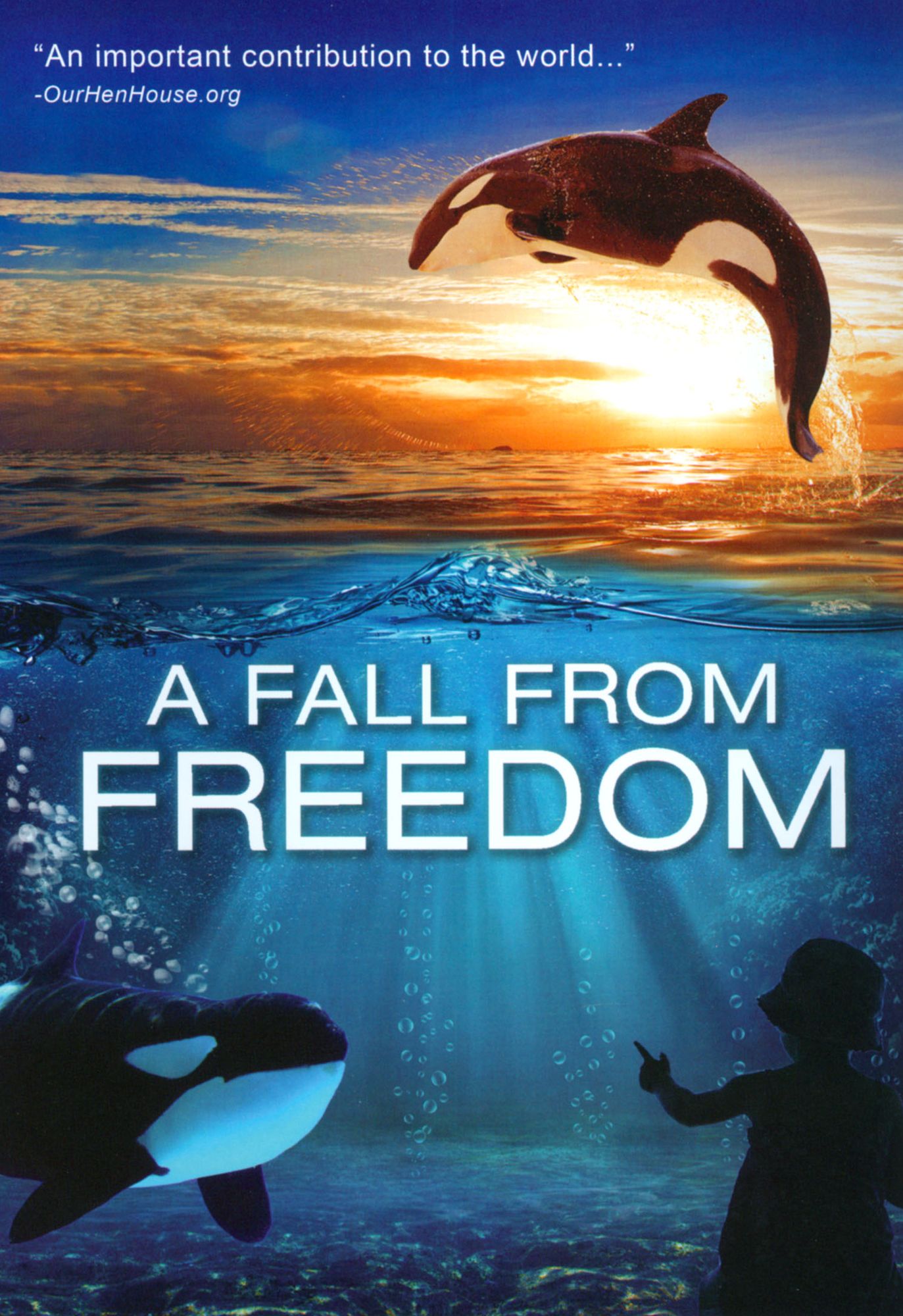 A Fall From Freedom