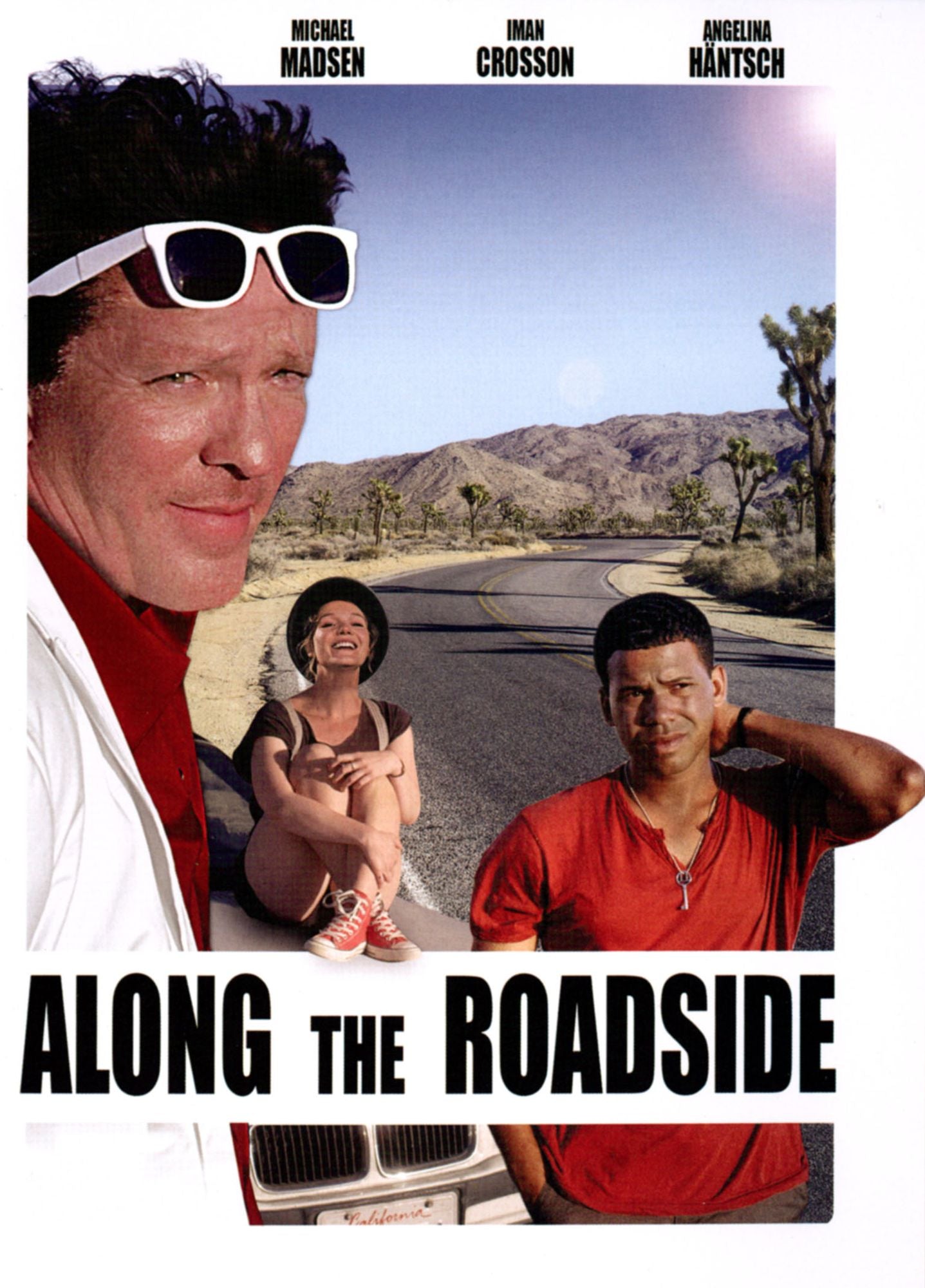 ALONG THE ROADSIDE / (WS)