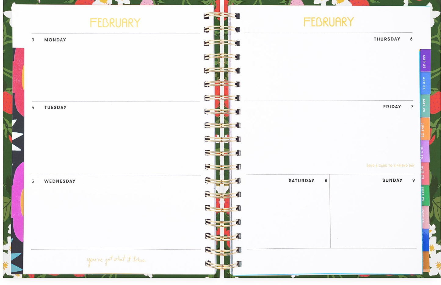 2025 17 Month Medium Planner Strawberry Green