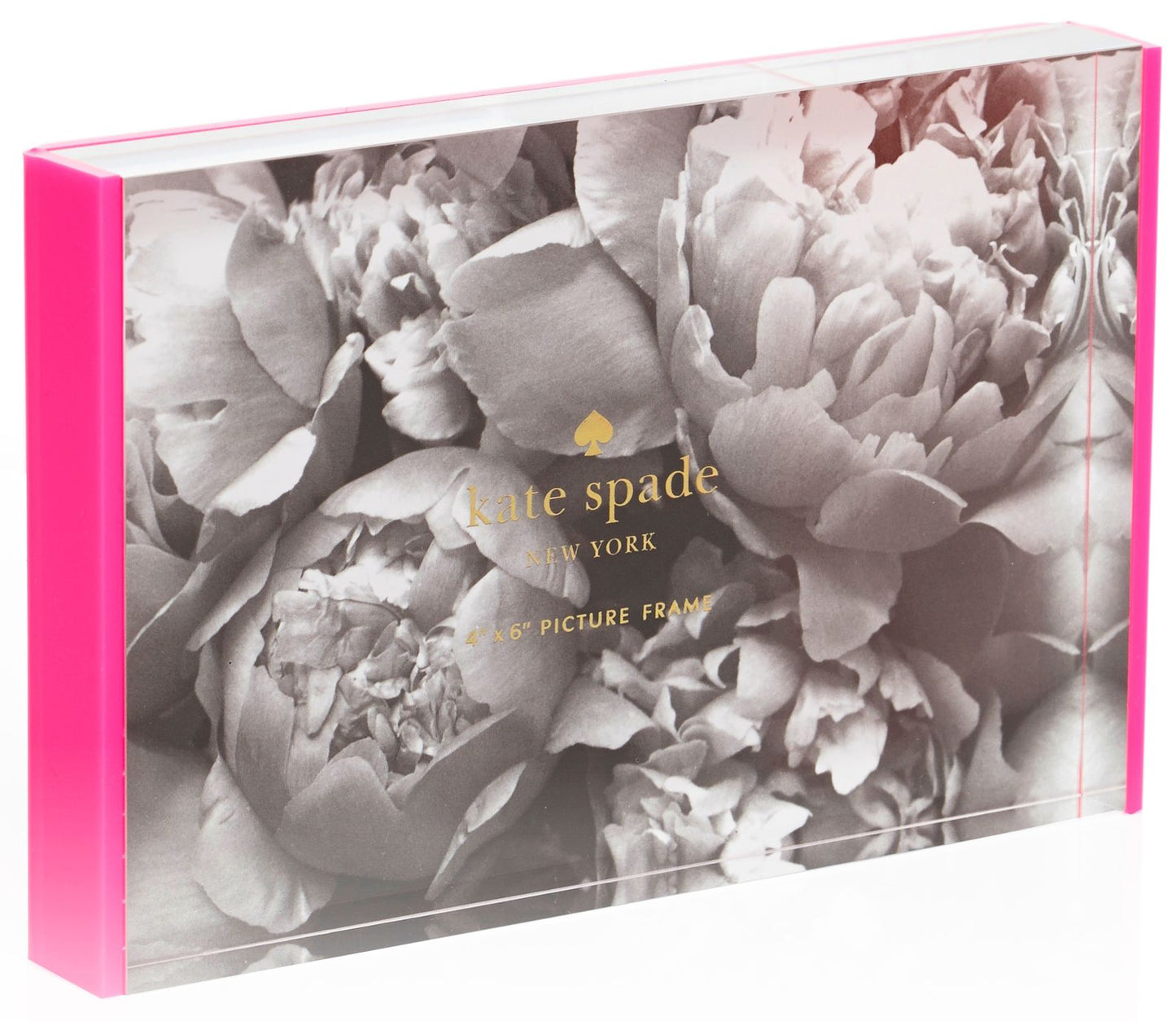 Kate Spade New York Pink Acrylic Photo Frame 4" x 6"
