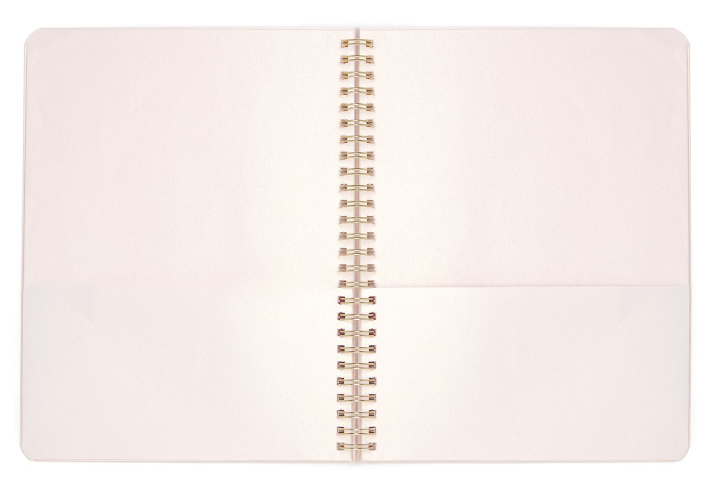 Ban.do ''Will You Accept This Rose' Spiral Lined Notebook 7" x 9"