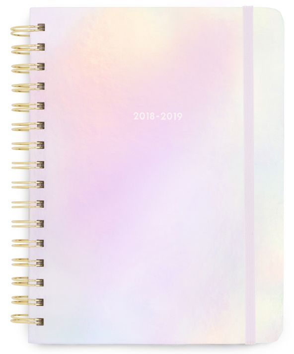 2019 ban.do medium planner, pearlescent (aug-aug)