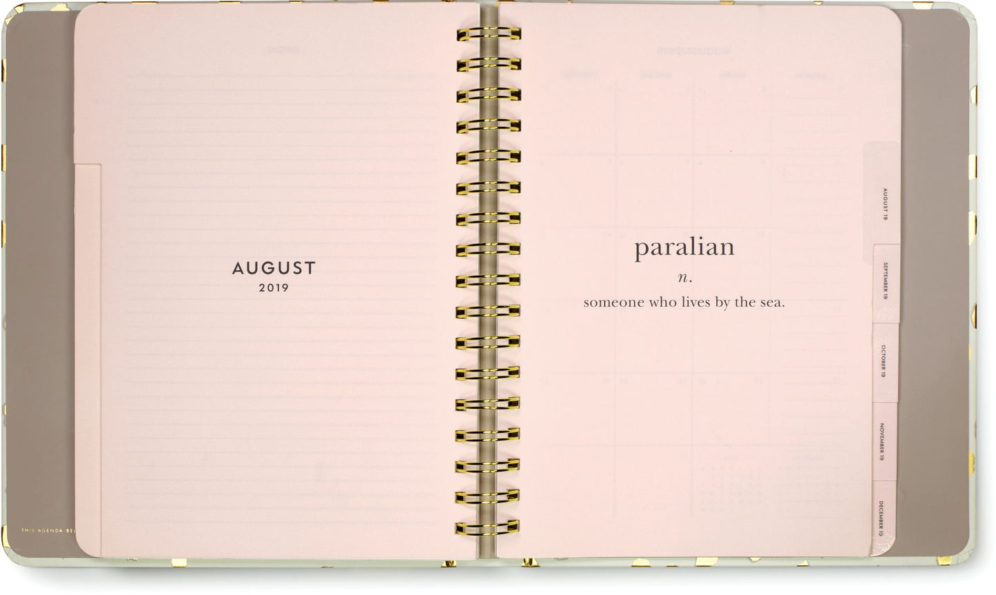2019 Kate Spade New York Large Calendar Year Planner, Gold Flamingo Dot (Jan-Dec)