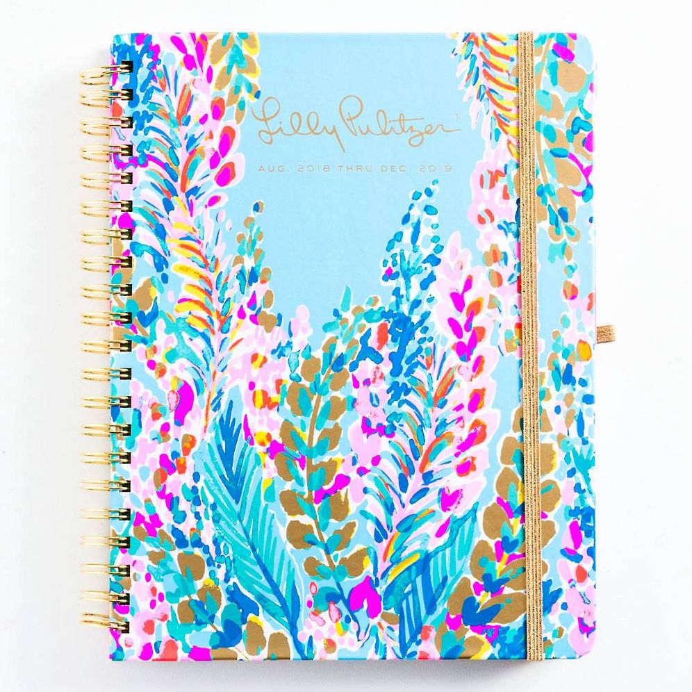 2019 Lilly Pulitzer Jumbo 17 Month Agenda, Catch the wave