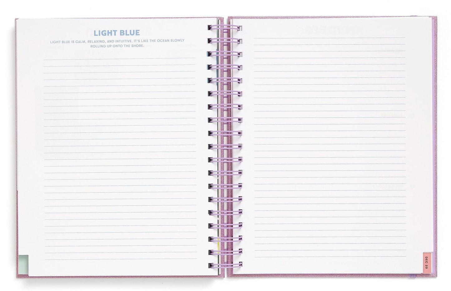 2020 Big Plans Planner