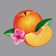 Bankrupt (Phoenix)