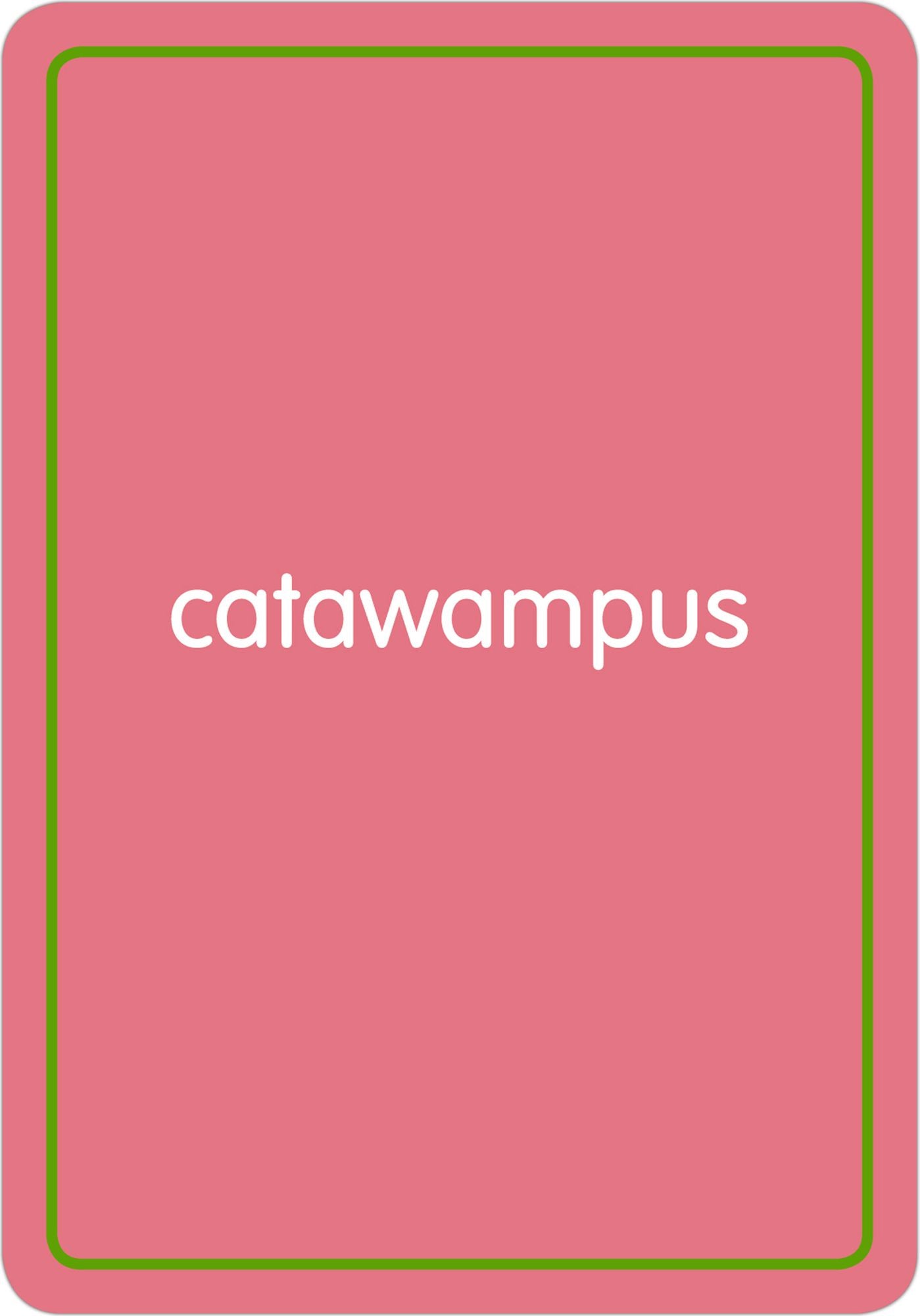 Big Words Flashcards