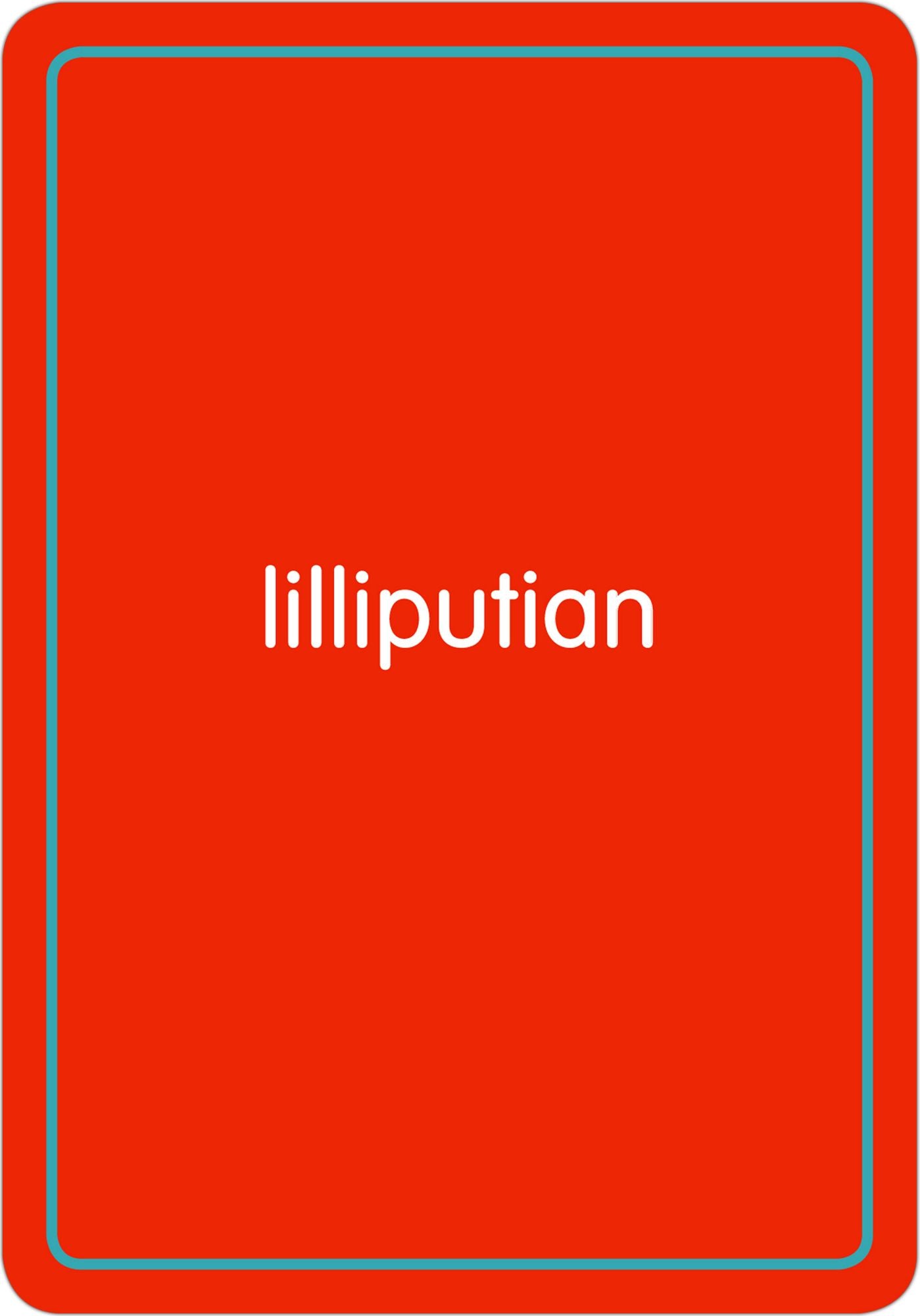 Big Words Flashcards